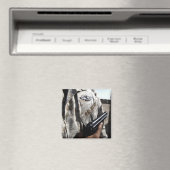 艦隊戦用装置 マグネット (インサイチュ (食洗機))