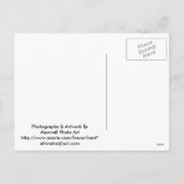 良いエッグシャツとギフトからのハッピーイースター シーズンポストカード (裏面)