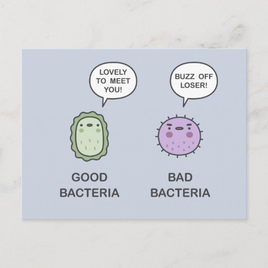 良いバクテリア、悪いバクテリア ポストカード (正面)