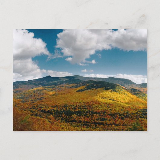 良い一日を過ごす ポストカード (正面)