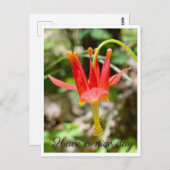 良い一日を過ごす ポストカード (正面/裏面)