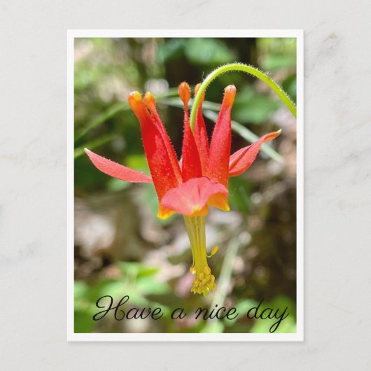 良い一日を過ごす ポストカード (正面)