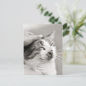 良い子猫!-ポストカード ポストカード (スタンド正面)