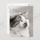 良い子猫!-ポストカード ポストカード (正面/裏面)