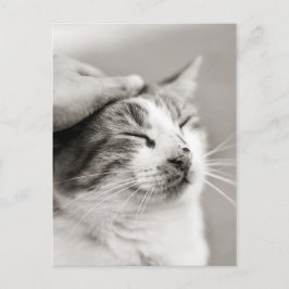 良い子猫!-ポストカード ポストカード