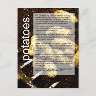 良い成長ガイド：ジャガイモとニンジン ポストカード