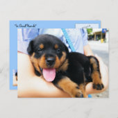 良い手で ポストカード (正面/裏面)