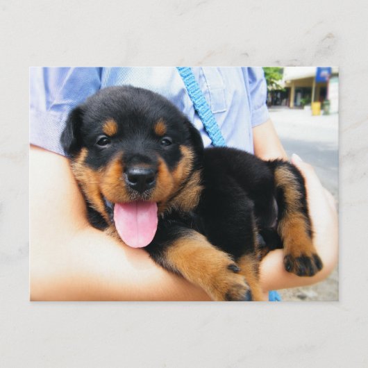 良い手で ポストカード (正面)