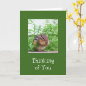 良い日の野生動物 カード (黄色い花)