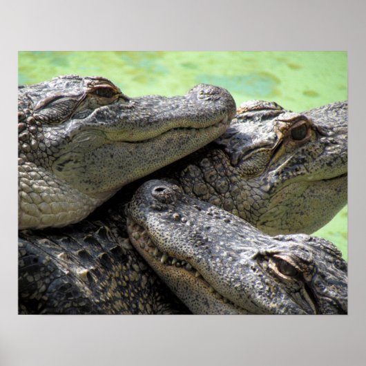 良い時期 ポスター (正面)