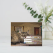 良い本葉書 ポストカード (スタンド正面)