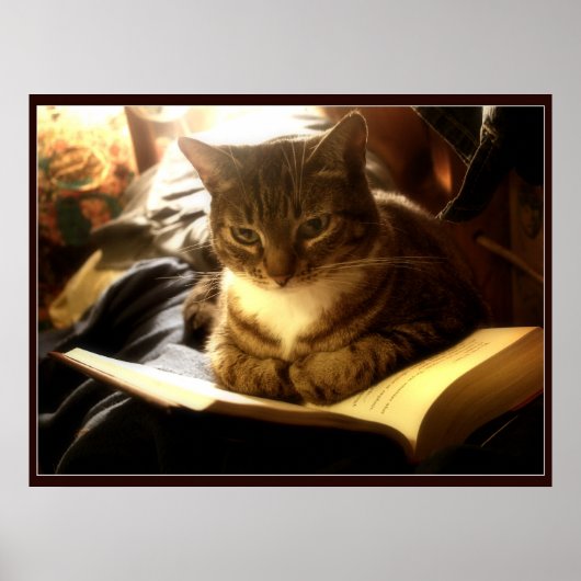 良い本 ポスター (正面)