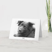 良い治癒 カード (裏面)