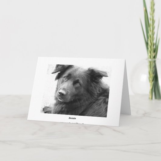 良い治癒 カード (裏面)