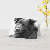 良い治癒 カード (黄色い花)