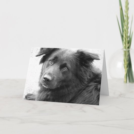 良い治癒 カード (正面)