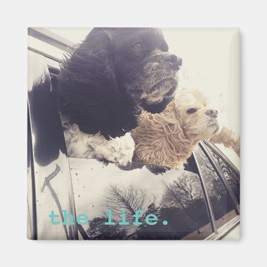 良い生命磁石 マグネット (正面)