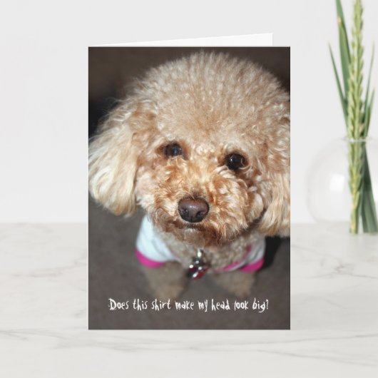 良おもしろいいカード カード (正面)