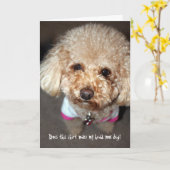 良おもしろいいカード カード (黄色い花)