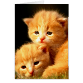 良きパートナー