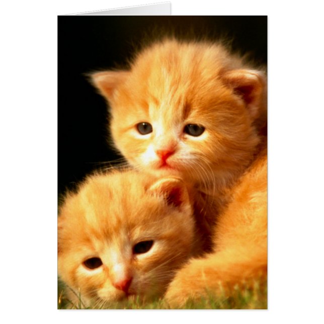 良きパートナー (正面)