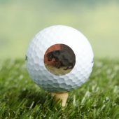 良心は我々を臆病にする ゴルフボール (インサイチュ 木)