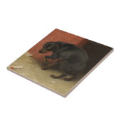 良心は我々を臆病にする タイル (側面)