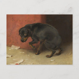 良心は我々を臆病にする ポストカード