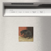 良心は我々を臆病にする マグネット (インサイチュ (食洗機))