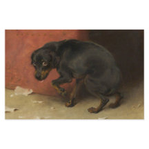 良心は我々を臆病にする