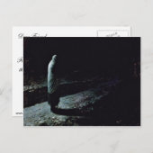 良心ユダスバイジェニコラージニコラジウィッチュ ポストカード (正面/裏面)