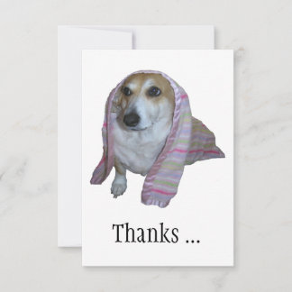 良感謝してい時のコーギ サンキューカード