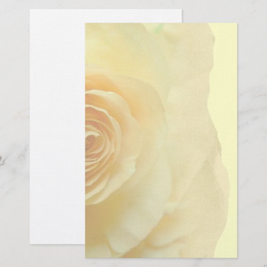 色あせたバラ 便箋 (正面/裏面)