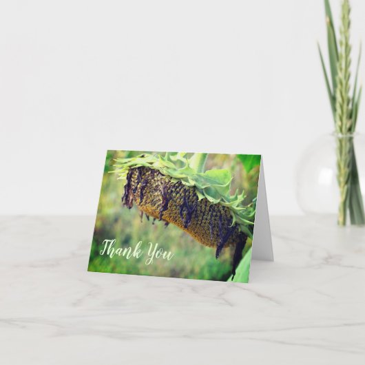 色あせたヒマワリフローラサンキューカード サンキューカード (正面)