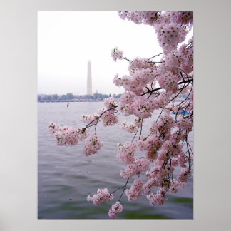 色あせた記憶 ポスター