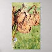 色あせた記憶 ポスター (正面)