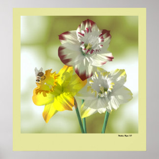 色お気に入りの ポスター