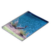 色があなたのガイドがあるようにします ノートブック (左側)