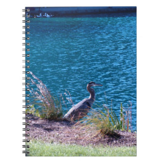 色があなたのガイドがあるようにします ノートブック