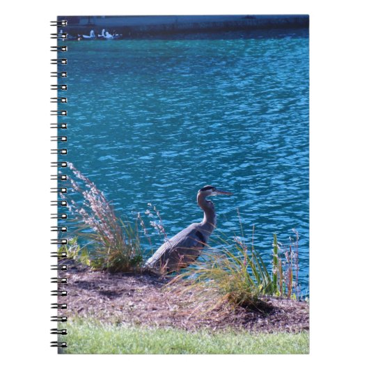 色があなたのガイドがあるようにします ノートブック (正面)