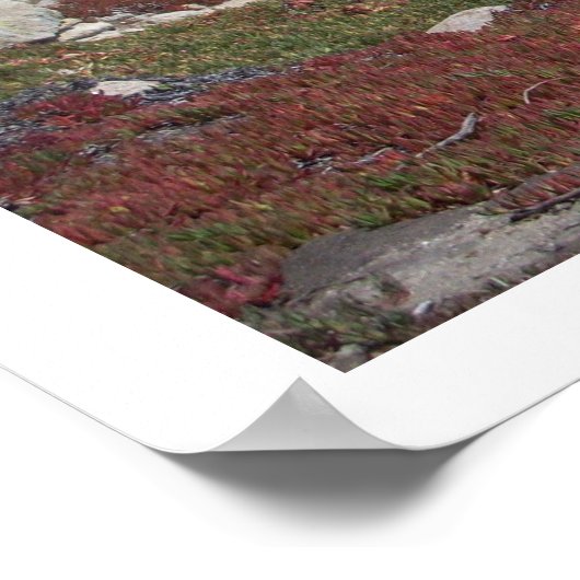 色が衝突するポスター! ポスター (角)