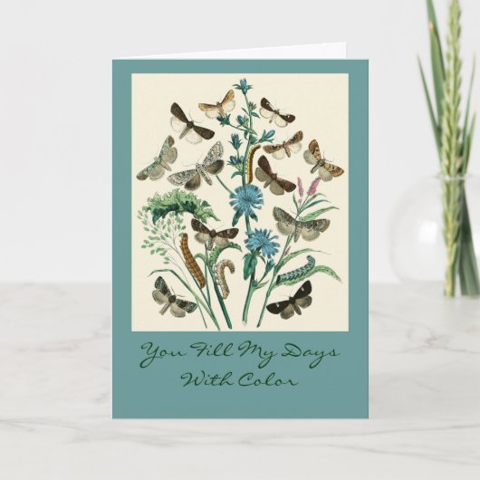 色で私の日を満たします カード (正面)