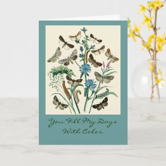 色で私の日を満たします カード (黄色い花)