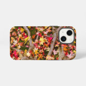 色とりどりのカエデの葉 iPhoneケース (裏面横)