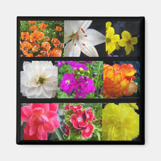 色とりどりの庭の花 マグネット (正面)