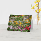 色とりどりの春の花が満開に カード (黄色い花)