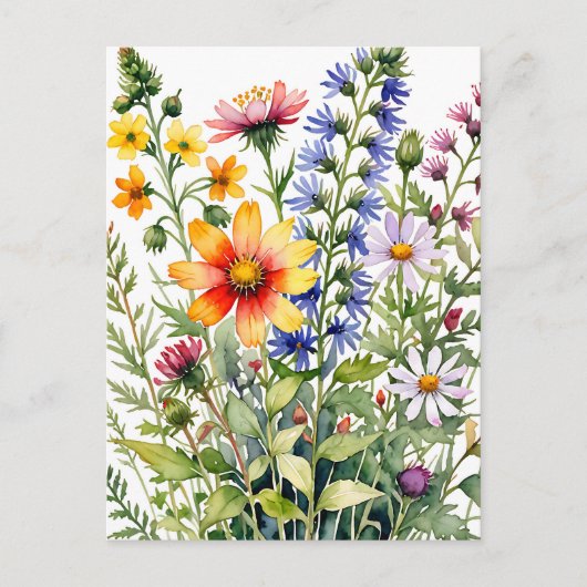 色とりどりの野の花の水彩画 ポストカード (正面)