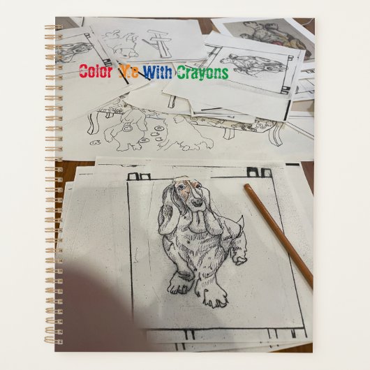 色とMe Bassie プランナー手帳 (正面)