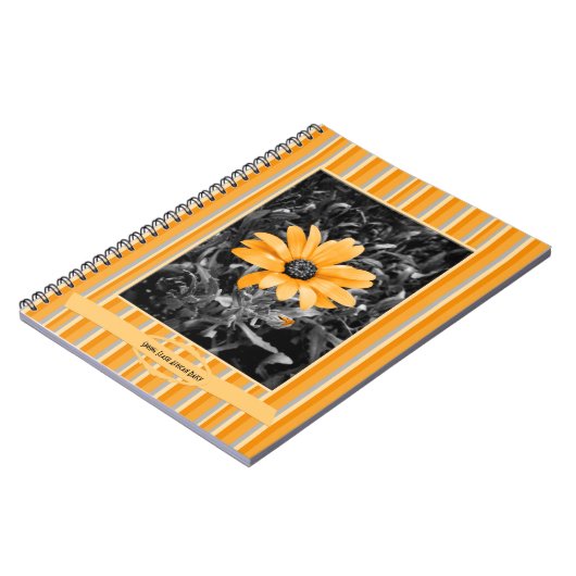 色のしぶきの春のフラッシュのアフリカデイジーの写真 ノートブック (左側)