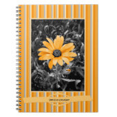 色のしぶきの春のフラッシュのアフリカデイジーの写真 ノートブック (正面)